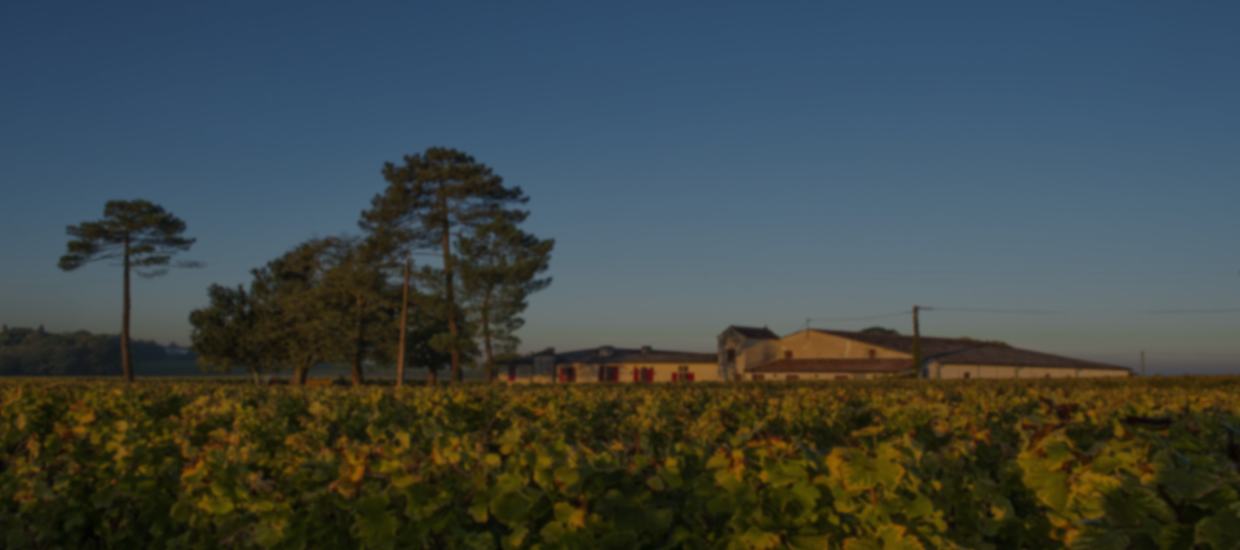 Le Lieutenant de Sigalas 2016, le second vin du Château